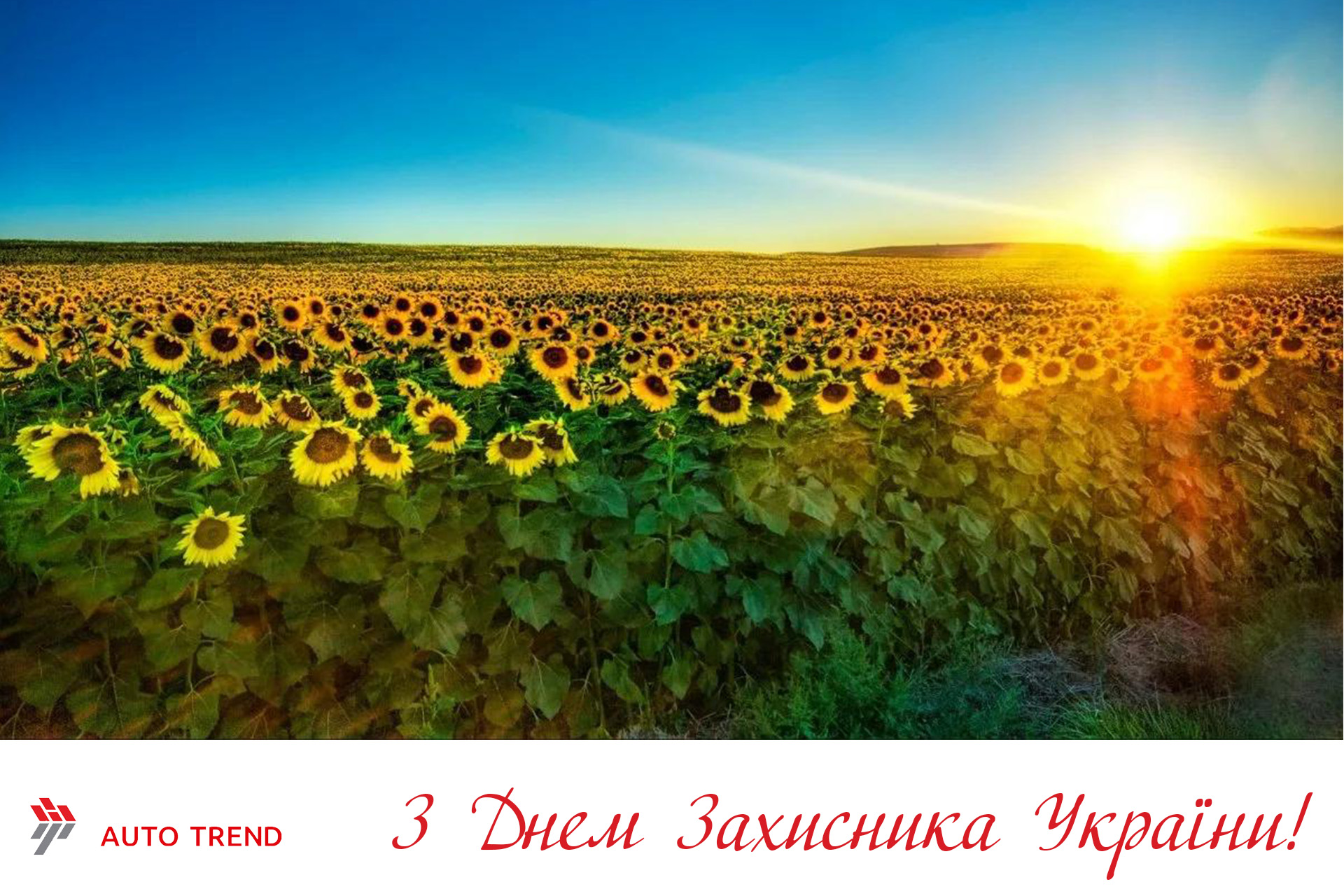 С Днем защитника Украины!