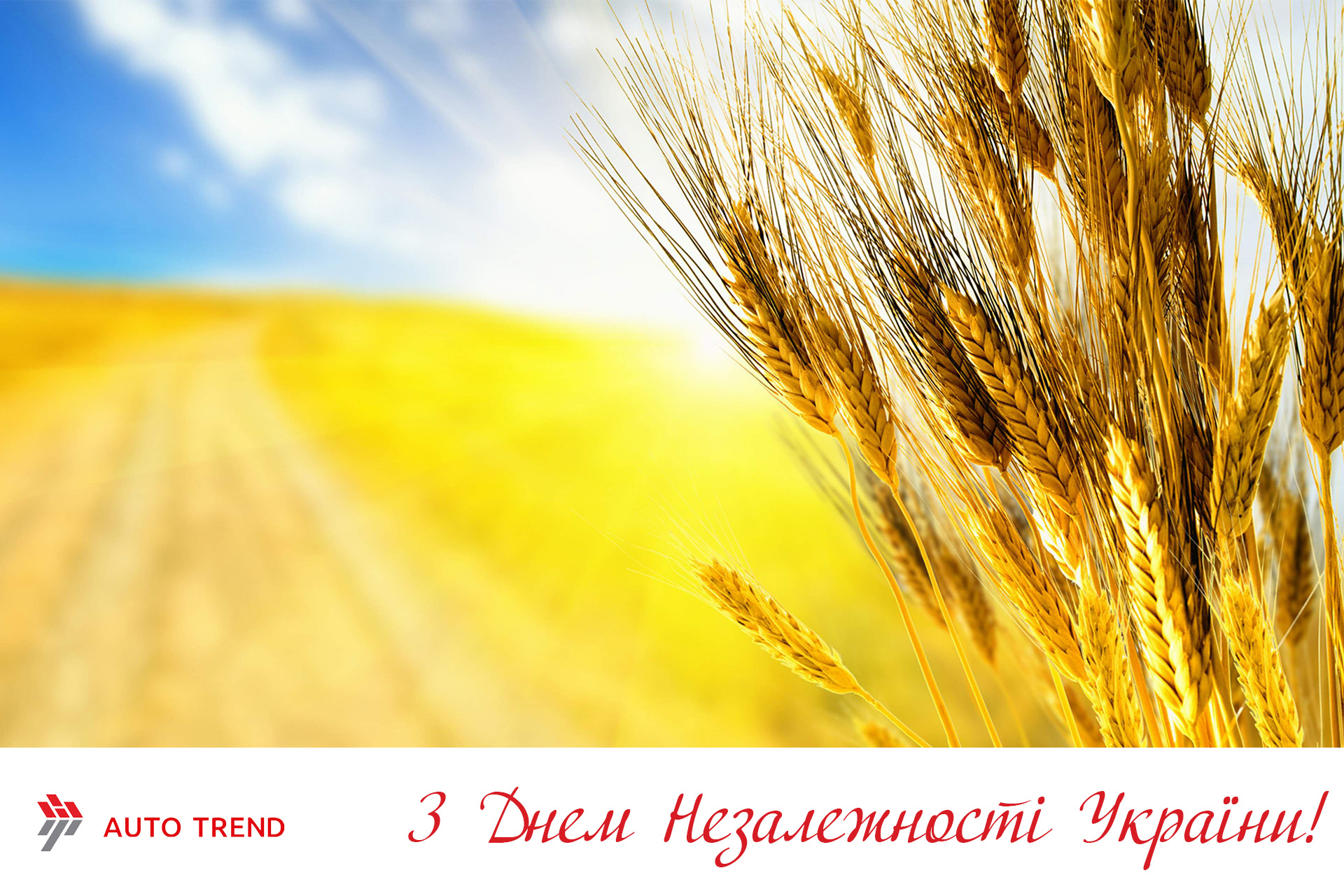 С Днем Независимости Украины